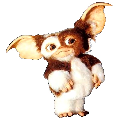 Gizmo from the Gremlins movie