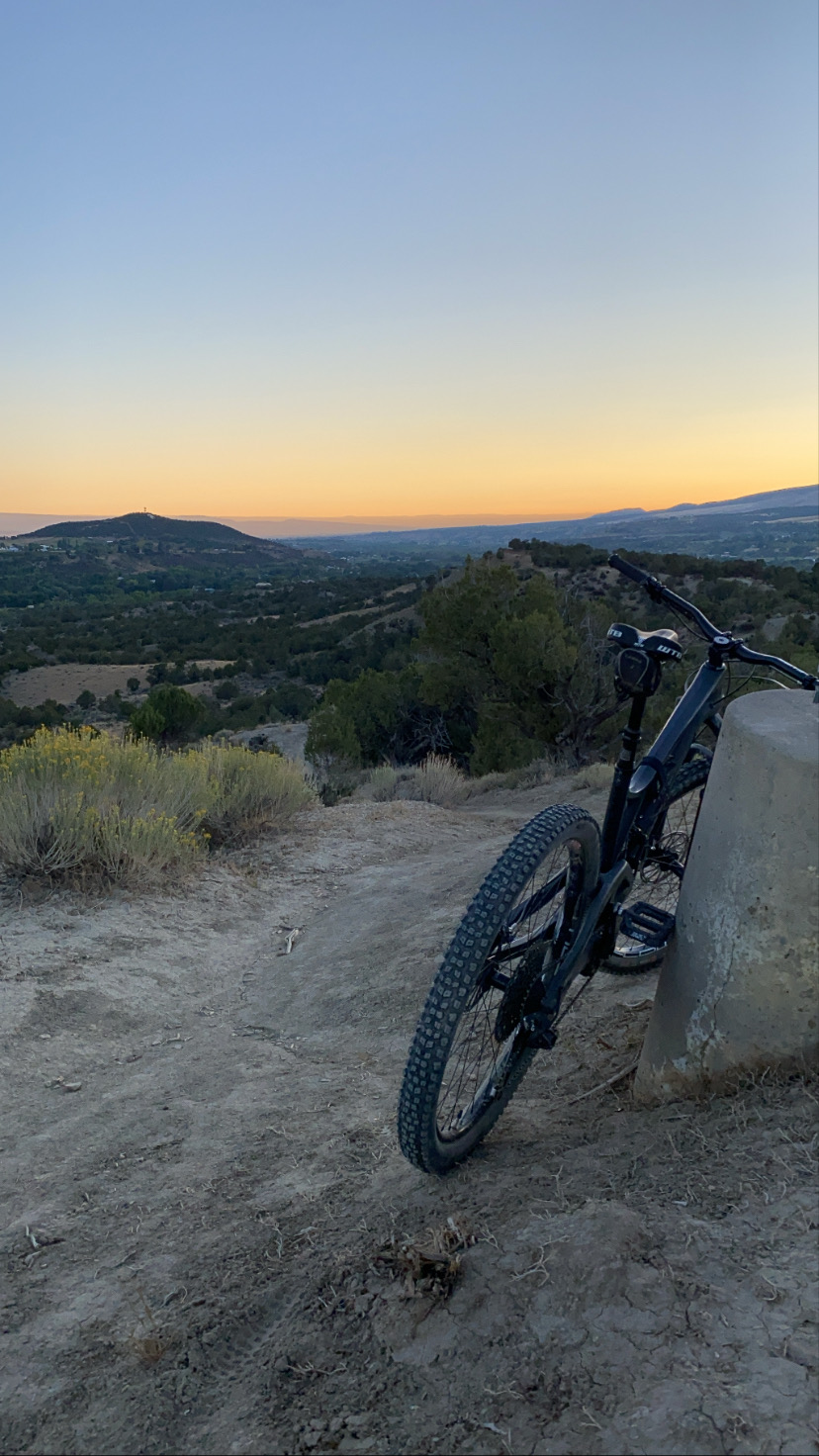 Mountain Bike on a Trail