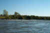 Dcp_3694.jpg (57736 bytes)