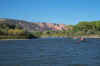 Dcp_3698.jpg (63078 bytes)