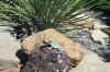 BlackCanyonNR6-15-02 250.jpg (131069 bytes)