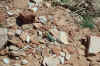 LittleHole4-21-02 070.jpg (229370 bytes)