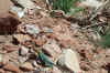 LittleHole4-21-02 072.jpg (229370 bytes)