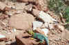 LittleHole4-21-02 074.jpg (196603 bytes)