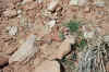 LittleHole4-21-02 232.jpg (131069 bytes)