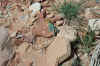 LittleHole4-21-02 233.jpg (131069 bytes)
