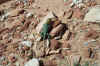 LittleHole4-21-02 235.jpg (131069 bytes)