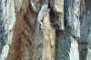 MineralBottom6-1-02 245.jpg (131069 bytes)